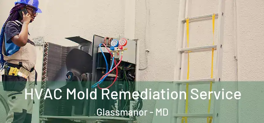 HVAC Mold Remediation Service Glassmanor - MD