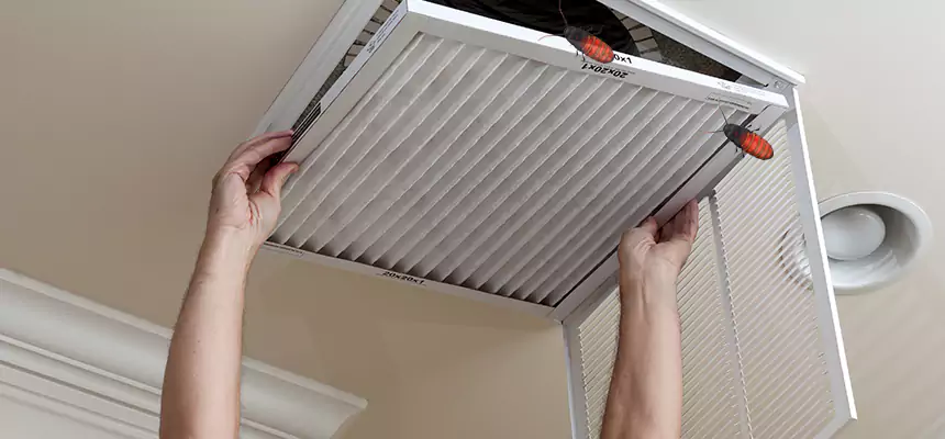 Preventive Cockroach-Proofing for Ducts in Glassmanor