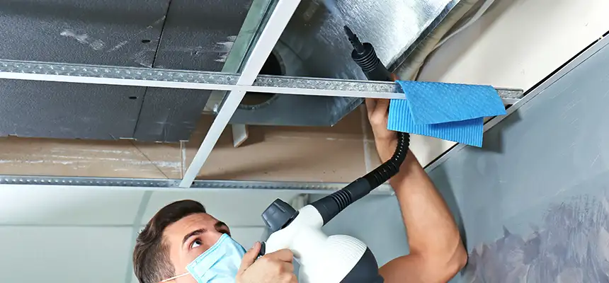 Our Air Duct Rodent Removal Services in Glassmanor, MD