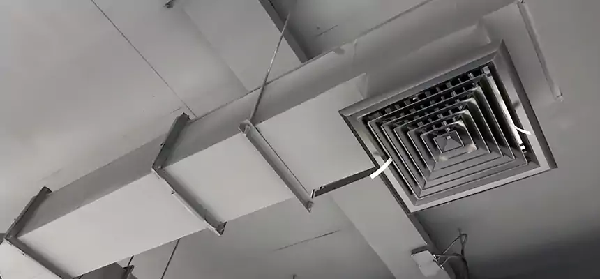 Our Rodent Droppings In Vents Services in Glassmanor, MD