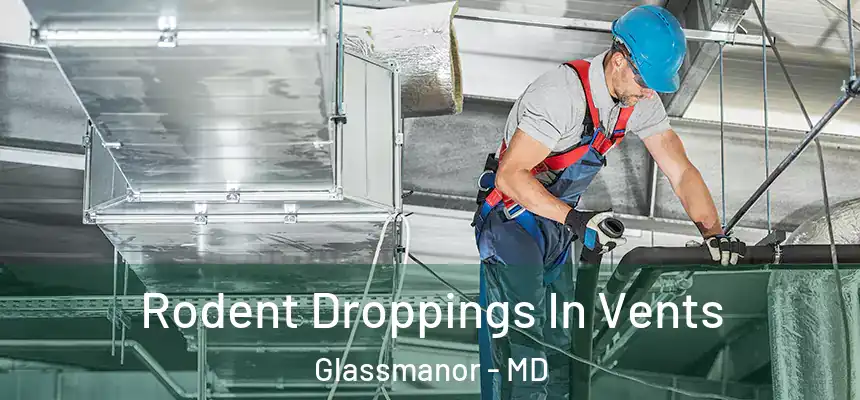 Rodent Droppings In Vents Glassmanor - MD