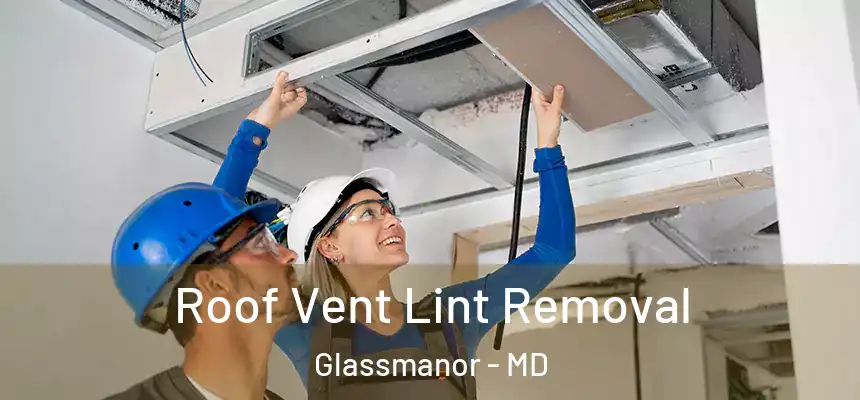 Roof Vent Lint Removal Glassmanor - MD