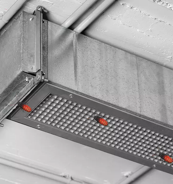 About Air Duct Cockroach Removal in Glassmanor, MD