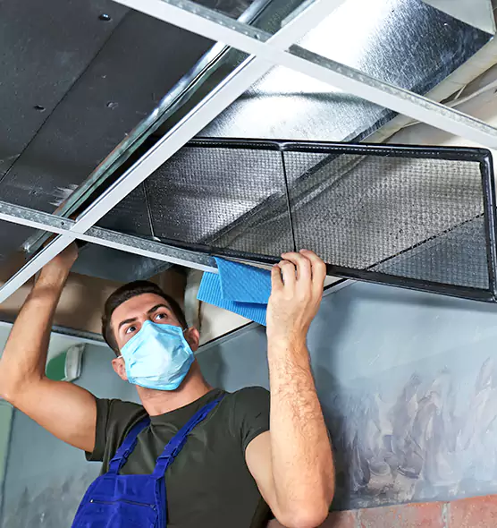 Professional Air Duct Pollen Cleaning in Glassmanor, MD