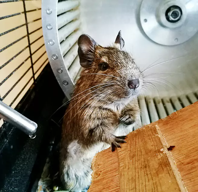 Why Homeowners & Businesses Trust Us Glassmanor, MD