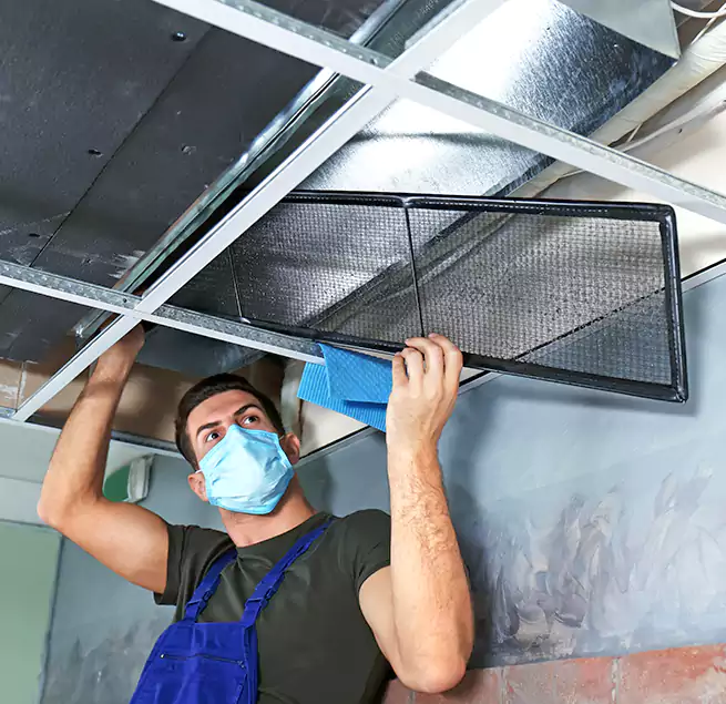 Why Homeowners Businesses Trust Us in Glassmanor, MD